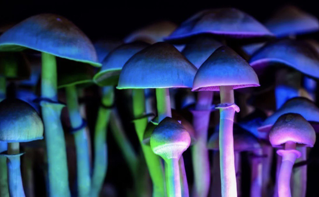 IS PSILOCYBIN AN UNQUALIFIED EVIL OR A HIGHLY EFFECTIVE PROMISING THERAPEUTIC AGENT?